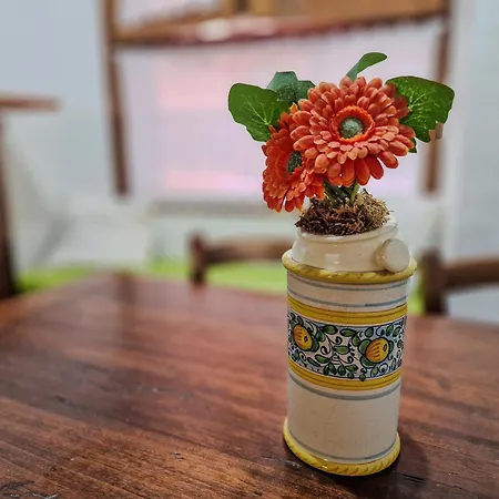 Il Caratello Borgo 6 Capoliveri (Isola d'Elba)